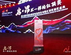 荷兰劲旅胜利挺进决赛，实力获赞誉