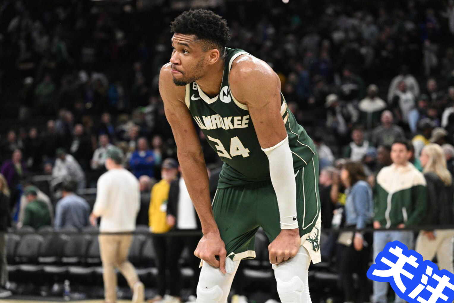 帕尔马主场告捷，实力逐渐崛起